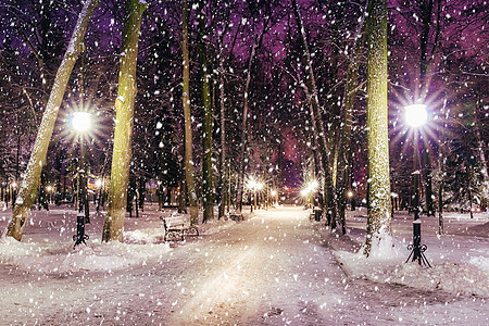 冬季公园的雪花在夜间 圣诞节装饰 灯光和人行道都布满了雪圣诞灯笼天气胡同城市长椅场景公共公园冻结路面背景图片