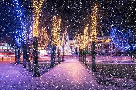 冬季夜间公园下雪 有圣诞节装饰品 灯光 铺满雪和树木的行人道调子装饰场景冻结圣诞季节灯笼天气公共公园路面图片