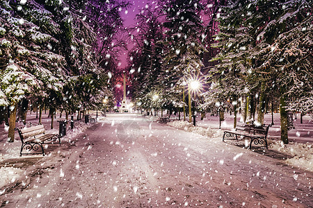 冬季公园的雪花在夜间 圣诞节装饰 灯光和人行道都布满了雪圣诞场景城市降雪季节调子路面胡同长椅小路背景图片