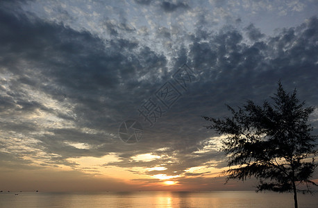 早上自然的美丽景象集成图片集太阳晴天大太阳橙子热带风景海浪日落金子阳光图片