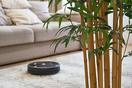 在舒适的现代客厅地板上的机器人真空吸尘器清洁工家庭器具卫生打扫地毯房间家政技术工作木地板图片