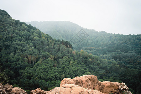 山峰岩石地貌 山区全景苔藓风景蓝色环境旅游旅行松树森林爬坡顶峰图片