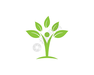 生态自然元素 vecto植物生长生物插图环境绿色叶子健康商业树叶图片