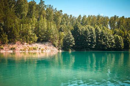 森林湖有绿化的水色图片
