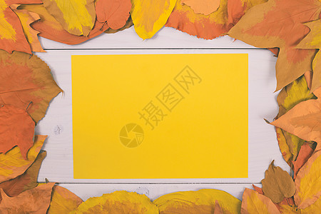 木制桌上的空黄色纸 周围有涂漆的叶子季节创造力讯息对象丙烯画植物棕色作品教育橙子图片