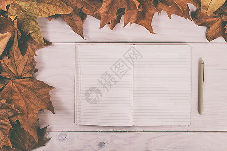 空笔记本和纸笔 用秋叶木桌图片