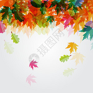 闪亮的秋天自然树叶背景 它制作图案矢量绿色黄色魔法金子亮度叶子感恩插图橙子植物图片
