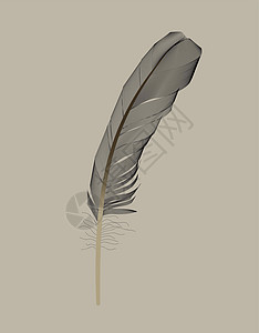 在矢量图中绘制的黑鸟羽毛翅膀黑色插图艺术鹅毛笔白色绘画图片