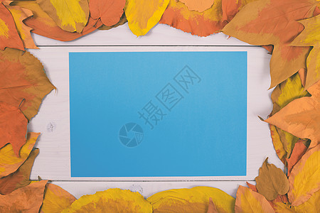 木制桌上的空白蓝纸 周围有涂漆的叶子图片