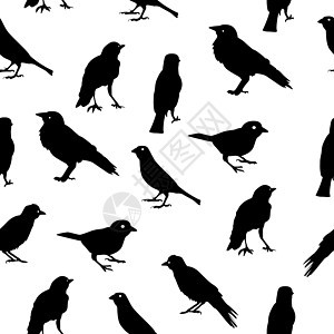 鸟类剪影无缝图案背景矢量图案制作地球编队素描自由鸽子冒充飞行海鸥电脑绘画图片