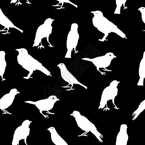 鸟类剪影无缝图案背景矢量图案制作传播天空宠物海鸥电脑艺术团体飞行冒充夹子图片