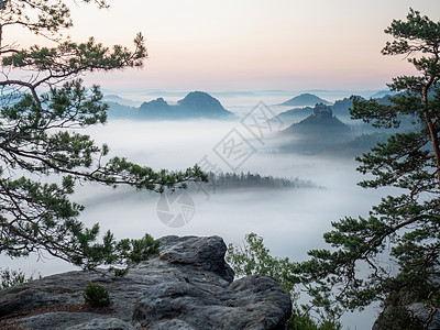 萨克森瑞士的美好景象 克莱纳温特伯格的美景 美丽的早晨峡谷天空薄雾太阳顶峰风景湿度砂岩林地全景图片