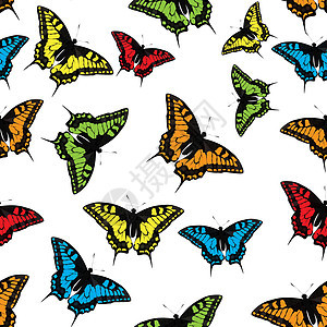 蝴蝶无缝图案背景矢量图橙子翅膀自由装饰品昆虫动画片艺术飞行动物花香图片