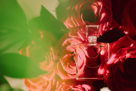 奢华芳香和野玫瑰 如优雅花香 美容和化妆品产品广告图片
