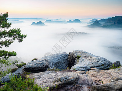 美丽的清晨风景 在沙石悬崖上 进入萨克森瑞士的深雾谷 德国风景山峰山脉太阳公园爬坡阳光太阳光线顶峰天空林地图片