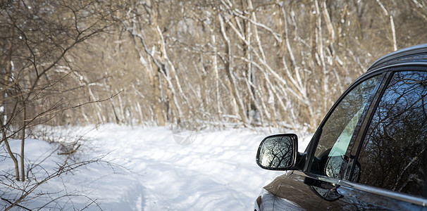 冬季驾车 下着大雪汽车风景危险车道树木降雪小路旅行暴风雪运输图片