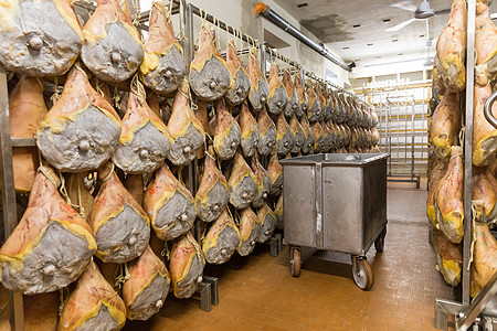 2018年5月2日 意大利波洛尼亚火腿工厂的熏肉美食熟食熏制营养商业制作人金融烘干火腿劳动图片