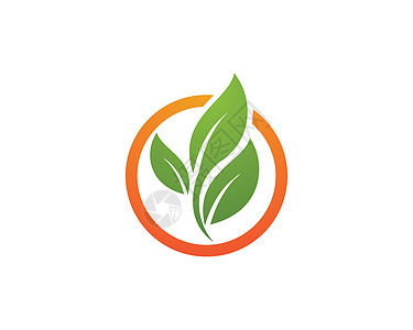 绿叶生态自然元素树叶绿色生活环境植物插图商业生物生长热带图片