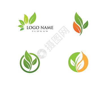 树叶矢量标志设计生态生长生物环境商业插图标识绿色植物图片
