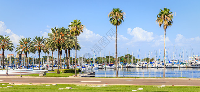 2014年9月2日在佛罗里达圣彼得堡举行有游艇的海湾会议图片