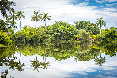 Fairchild热带植物园 美国佛罗里达州迈阿密树木公园蓝色半导体反射天空植物异国池塘花园图片