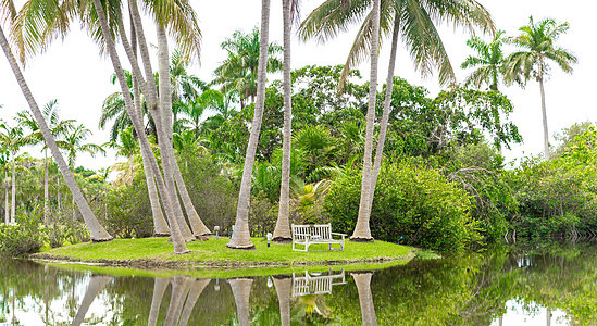 Fairchild热带植物园 美国佛罗里达州迈阿密蓝色反射半导体公园植物热带旅行树木天空长椅图片