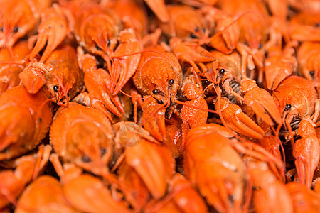 煮鱼甲壳符号螃蟹小龙虾熟食食物小吃红色海鲜动物背景