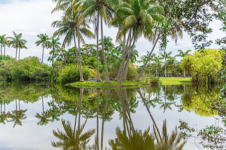 Fairchild热带植物园 美国佛罗里达州迈阿密飞兆旅游树木异国旅行池塘蓝色公园晴天半导体图片