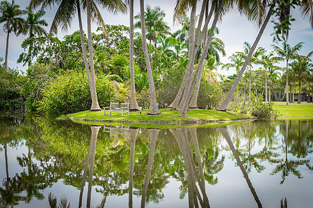 Fairchild热带植物园 美国佛罗里达州迈阿密棕榈长椅热带天空晴天蓝色情调旅游旅行花园图片