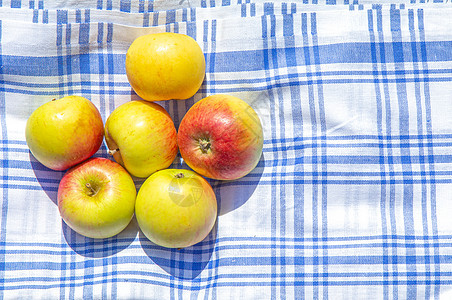 在公园的布和绿草上 复制空间上的红苹果和黄苹果季节野餐篮子午餐农业水果植物桌布晴天桌子图片