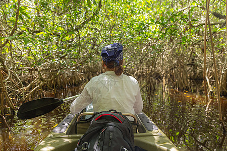 美国佛罗里达州Everglades红树林旅游皮艇血管沼泽地隧道森林游泳运动踪迹丛林公园红树图片