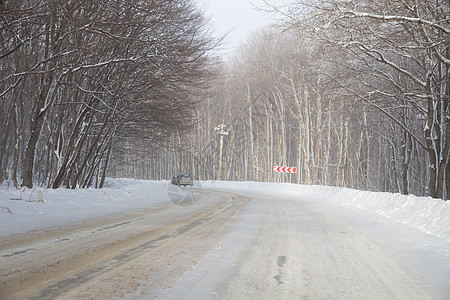 冬季公路驾驶沥青自然季节小路场景树木交通旅行运输图片