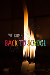 燃烧的蜡烛在黑暗中照亮光芒昆虫学校宏观甲虫荒野红色学生教育生物学瓢虫图片