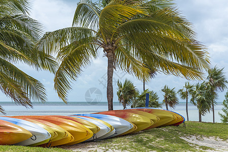 海滩上亮彩色的皮艇旅游运动热带贮存塑料独木舟旅行海洋蓝色支撑图片