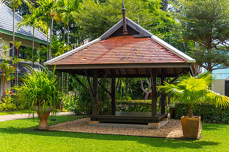 泰国热带天然的美丽的木制花木护林鸟院子凉棚草地凉亭阳台乔木奢华后院公园露台图片