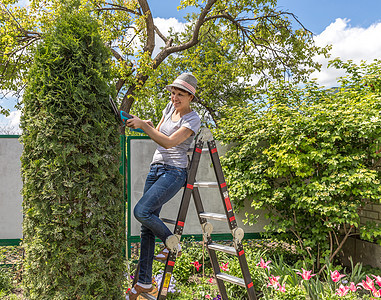 在花园工作中年牛仔裤帽子工具梯子种植后院衬套修剪草地图片