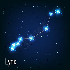 夜空中的天猫座星 它制作图案矢量图片