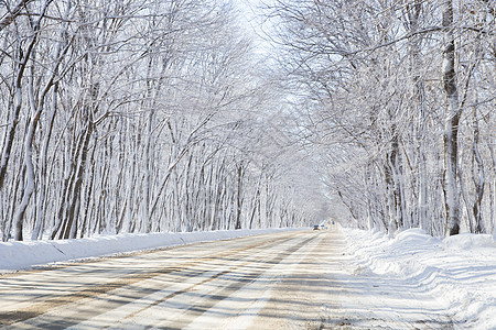 冬季公路暴风雪风景孤独季节天气危险驾驶交通自然下雪图片