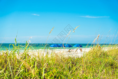 佛罗里达有阳光明媚的沙滩和青草蓝天空图片