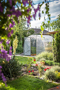 温室的后花园 开着门草本植物培育院子小屋植物学植物蔬菜食物阳光后院图片