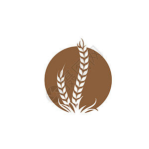 谷物图标矢量插图设计模板营养颗粒大麦农场饮食生长产品面粉核心面包图片