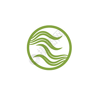 海藻图标矢量插图设计模板叶子生态野生动物水族馆树叶黑工食物藻类艺术生物图片