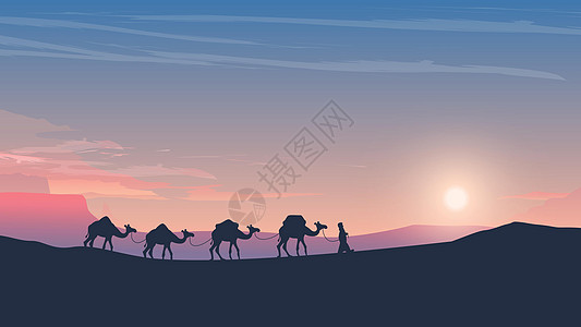 阿拉伯沙漠日落时的骆驼商队图片