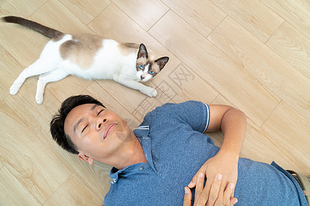 亚洲男人和老猫 躺在地板上在家里男性动物木头猫科胡须哺乳动物宠物爪子说谎小猫图片