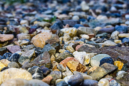岩石海海滩或石头背景许多小石头 颜色各异 抽象粗糙墙纸自然概念背景图片
