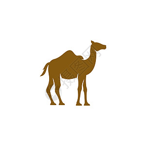 骆驼图标矢量图天空哺乳动物情调大篷车荒野旅游运输沙丘白色驼峰图片