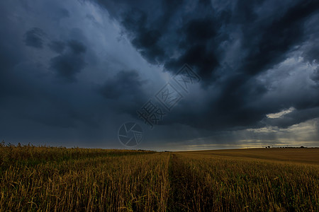 秋天在农业田地的黑暗风暴云中 即将到来的风暴 飓风或雷暴环境场地风光草地雷雨气旋地平线农田灾难危险图片