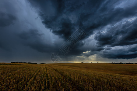 秋天在农业田地的黑暗风暴云中 即将到来的风暴 飓风或雷暴草地气旋气象场景地平线危险天空场地气候暴雨图片