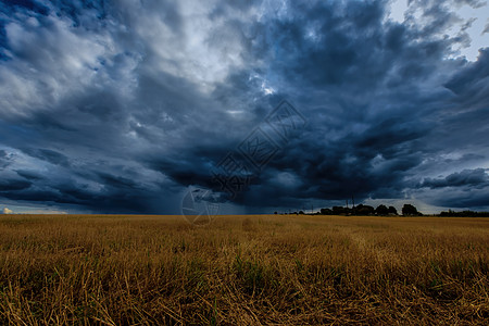 秋天在农业田地的黑暗风暴云中 即将到来的风暴 飓风或雷暴戏剧性环境场地天空危险风光积雨天气气象场景图片