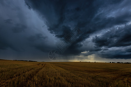 秋天在农业田地的黑暗风暴云中 即将到来的风暴 飓风或雷暴风光戏剧性危险环境地平线气象草地极端田园暴雨图片